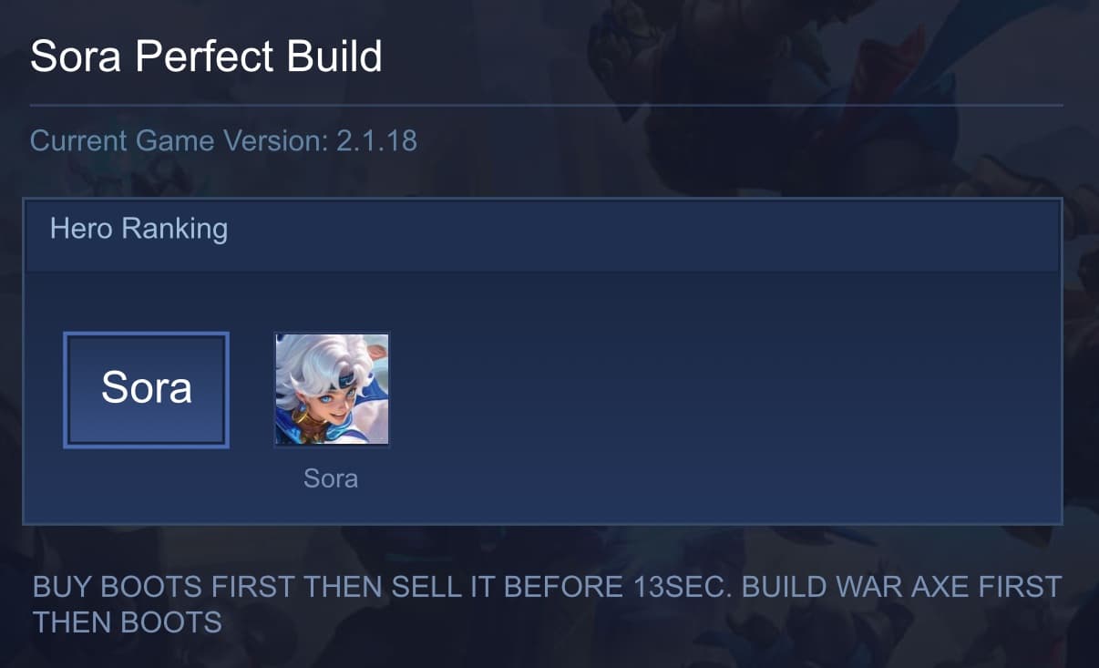Sora Perfect Build